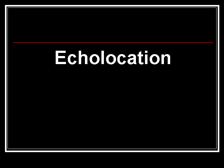 Echolocation 