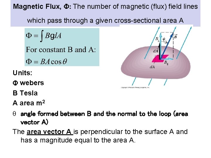 Magnetic Flux, F: The number of magnetic (flux) field lines which pass through a