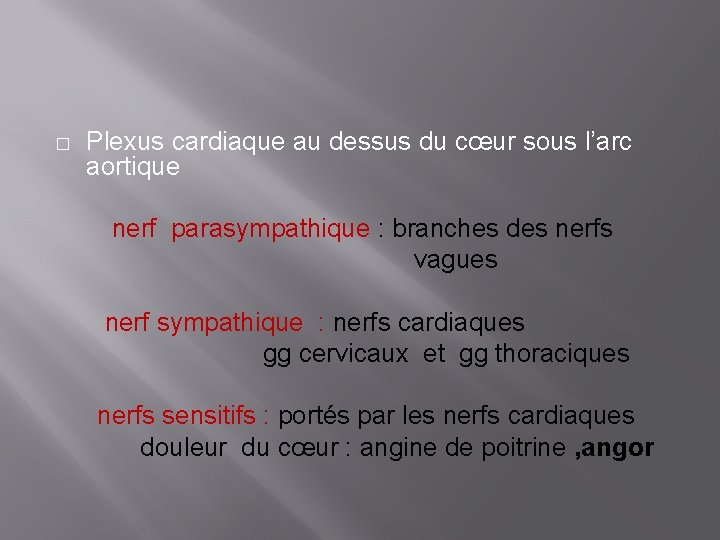 � Plexus cardiaque au dessus du cœur sous l’arc aortique nerf parasympathique : branches