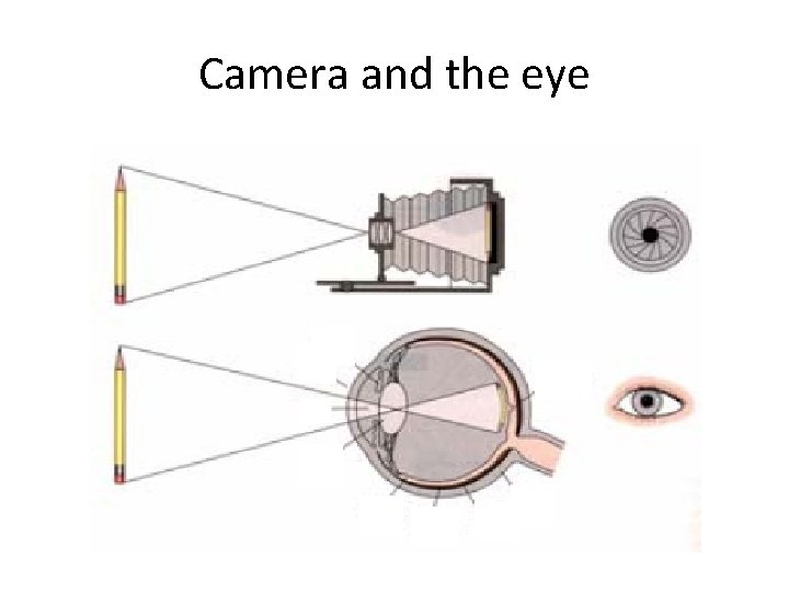 Camera and the eye 