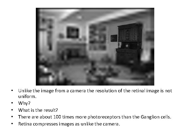  • Unlike the image from a camera the resolution of the retinal image