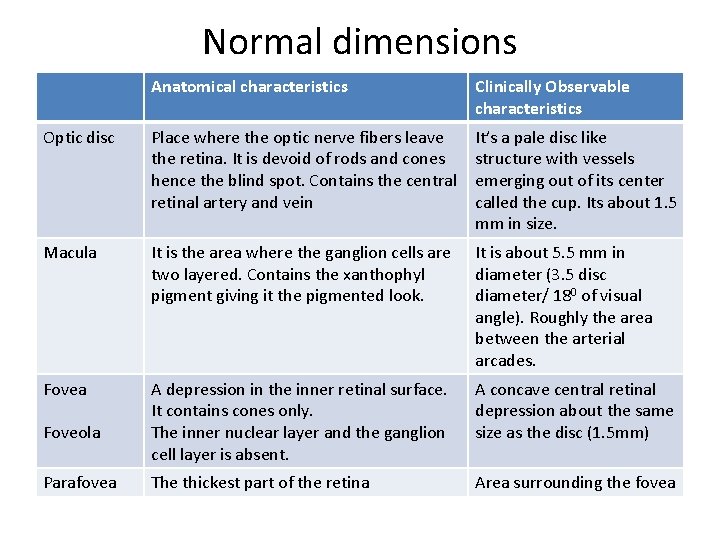 Normal dimensions Anatomical characteristics Clinically Observable characteristics Optic disc Place where the optic nerve