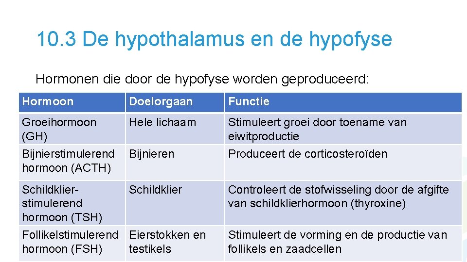 10. 3 De hypothalamus en de hypofyse Hormonen die door de hypofyse worden geproduceerd: