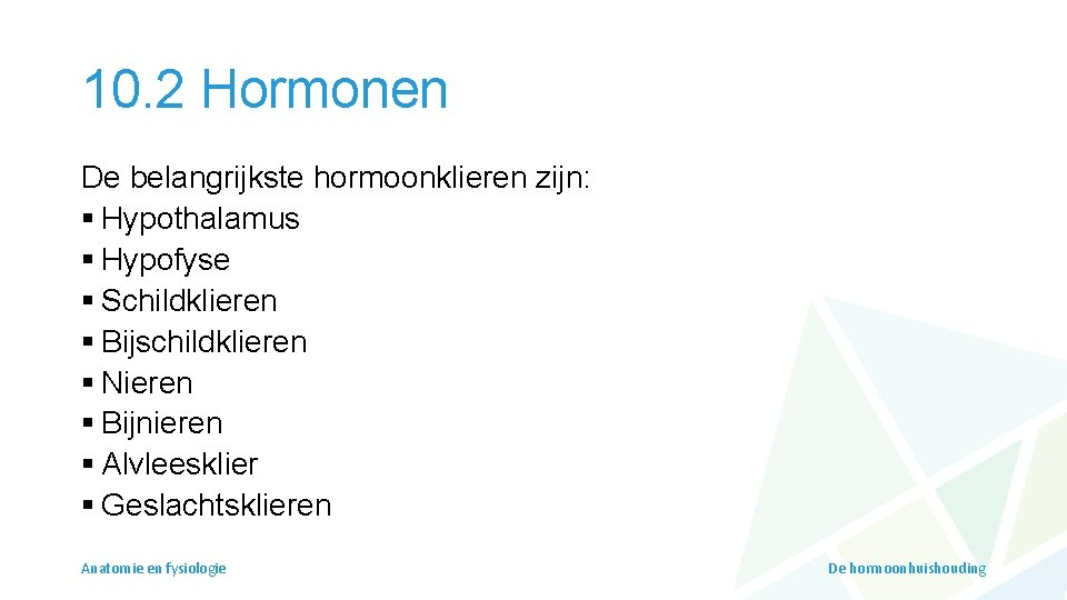 10. 2 Hormonen De belangrijkste hormoonklieren zijn: § Hypothalamus § Hypofyse § Schildklieren §