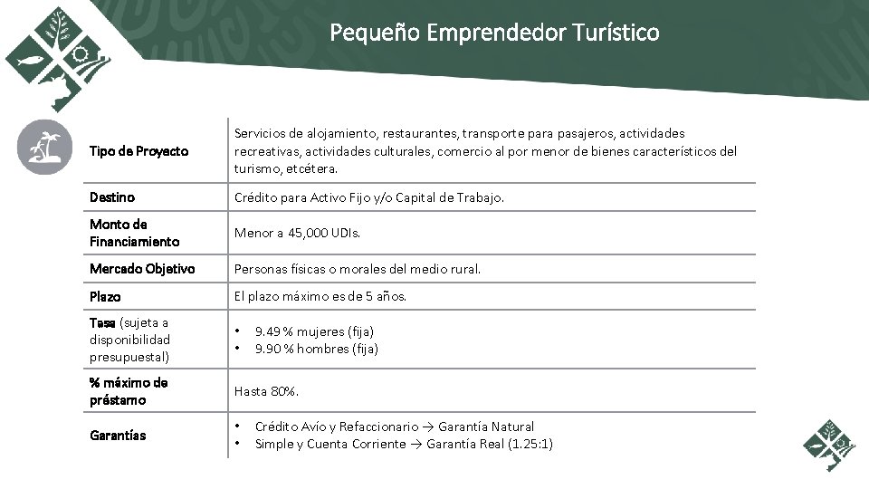 Pequeño Emprendedor Turístico Tipo de Proyecto Servicios de alojamiento, restaurantes, transporte para pasajeros, actividades