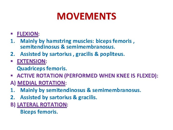 MOVEMENTS § FLEXION: 1. Mainly by hamstring muscles: biceps femoris , semitendinosus & semimembranosus.