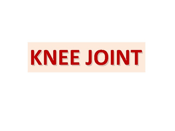 KNEE JOINT 