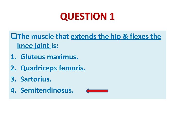 QUESTION 1 q. The muscle that extends the hip & flexes the knee joint