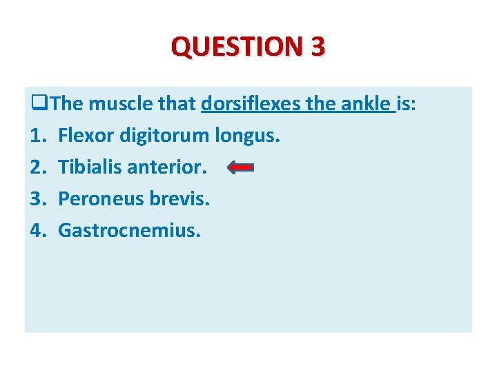 QUESTION 3 q. The muscle that dorsiflexes the ankle is: 1. Flexor digitorum longus.