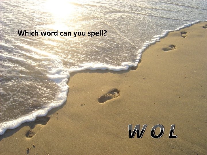 Which word can you spell? WOL 