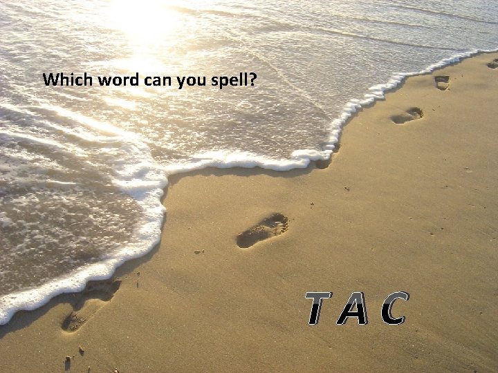 Which word can you spell? TAC 