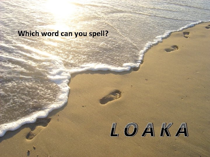 Which word can you spell? LOAKA 