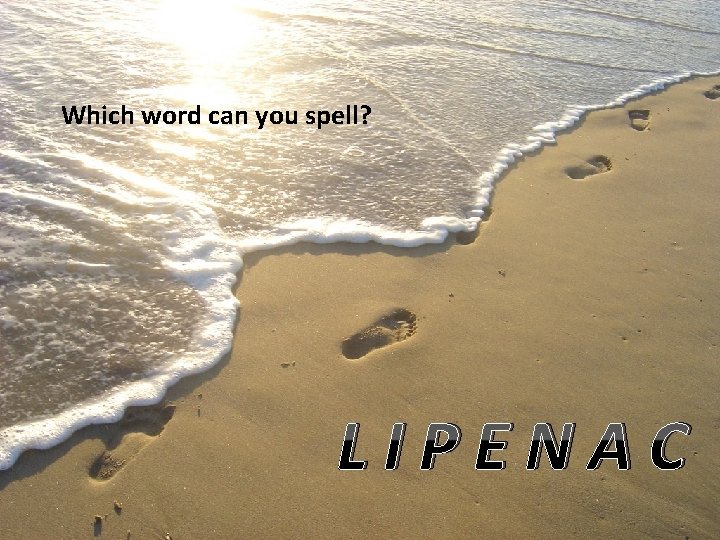 Which word can you spell? LIPENAC 