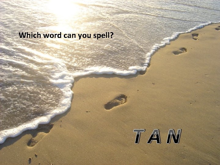 Which word can you spell? TAN 