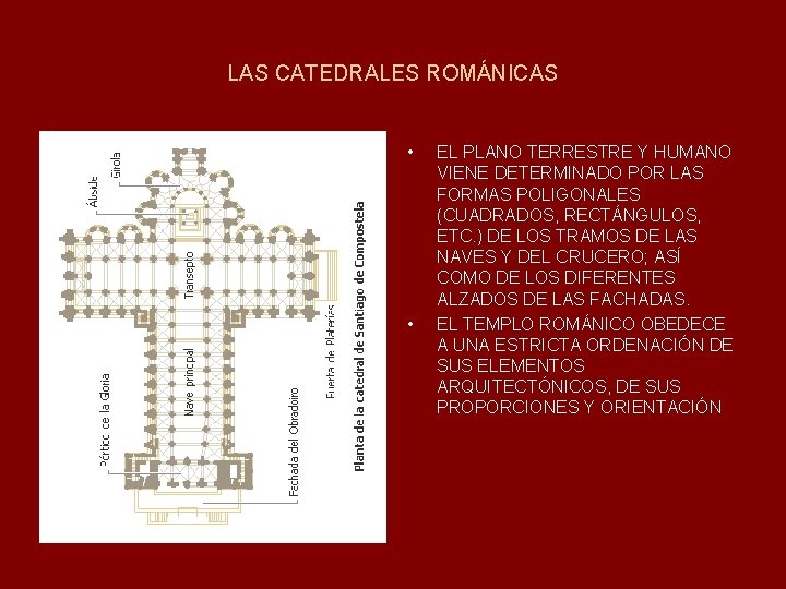 LAS CATEDRALES ROMÁNICAS • • EL PLANO TERRESTRE Y HUMANO VIENE DETERMINADO POR LAS