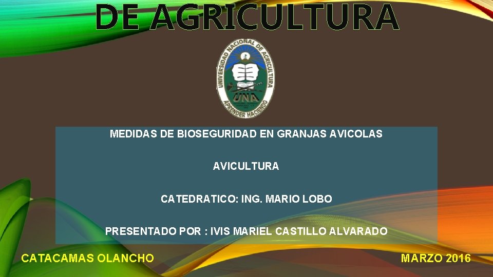 DE AGRICULTURA MEDIDAS DE BIOSEGURIDAD EN GRANJAS AVICOLAS AVICULTURA CATEDRATICO: ING. MARIO LOBO PRESENTADO