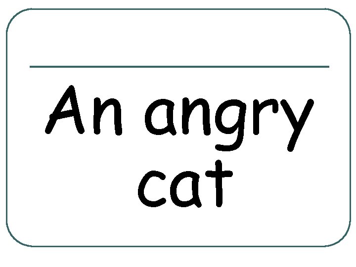 An angry cat 