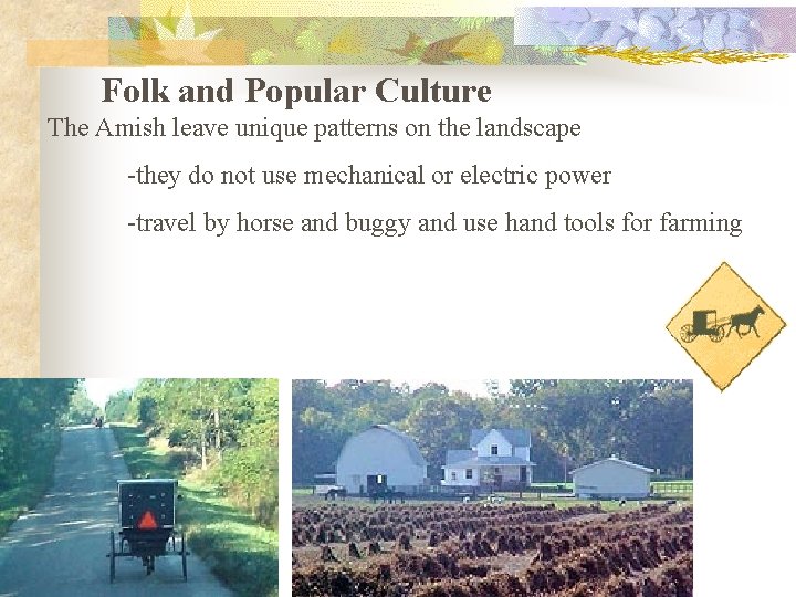 Folk and Popular Culture The Amish leave unique patterns on the landscape -they do