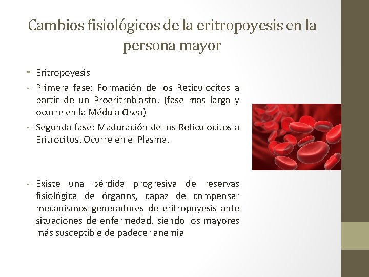 Cambios fisiológicos de la eritropoyesis en la persona mayor • Eritropoyesis - Primera fase: Cambios fisiológicos de la eritropoyesis en la persona mayor • Eritropoyesis - Primera fase: