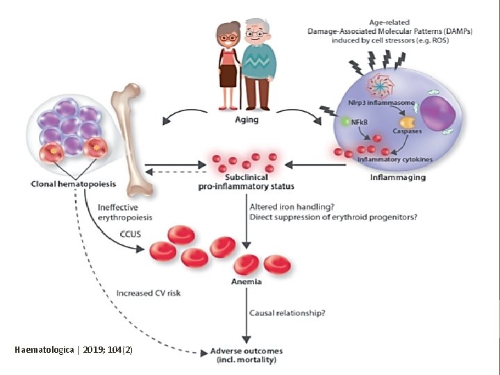 Haematologica | 2019; 104(2) Haematologica | 2019; 104(2)