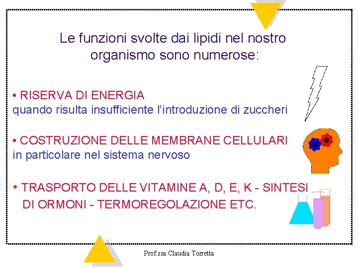 Le funzioni svolte dai lipidi nel nostro organismo sono numerose: • RISERVA DI ENERGIA