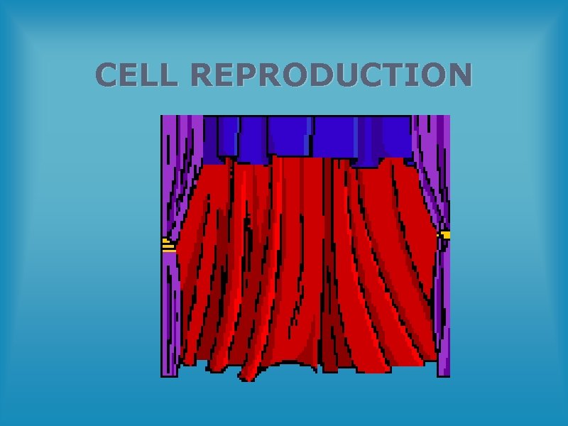 CELL REPRODUCTION THE CELL CYCLE AND MITOSIS 