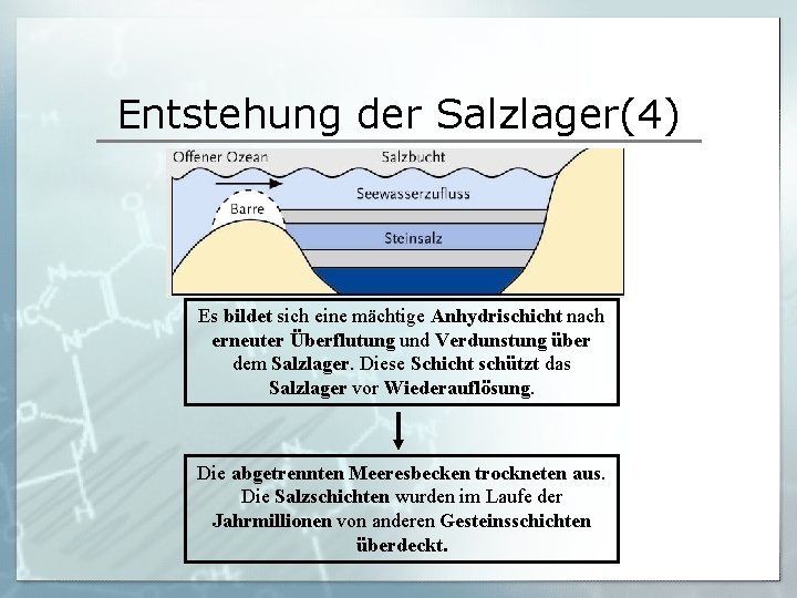 Entstehung der Salzlager(4) Es bildet sich eine mächtige Anhydrischicht nach erneuter Überflutung und Verdunstung