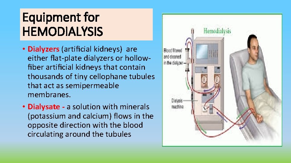 Equipment for HEMODIALYSIS • Dialyzers (artiﬁcial kidneys) are either ﬂat-plate dialyzers or hollowﬁber artiﬁcial