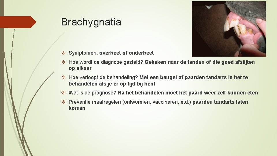 Brachygnatia Symptomen: overbeet of onderbeet Hoe wordt de diagnose gesteld? Gekeken naar de tanden