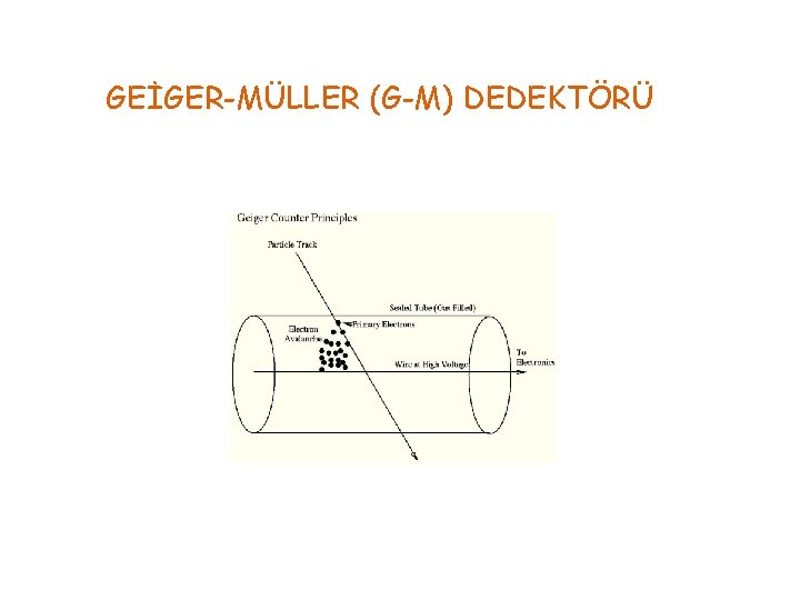 GEİGER-MÜLLER (G-M) DEDEKTÖRÜ 