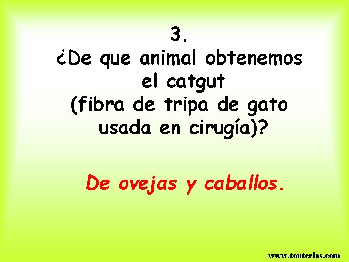 3. ¿De que animal obtenemos el catgut (fibra de tripa de gato usada en