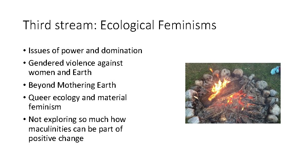Third stream: Ecological Feminisms • Issues of power and domination • Gendered violence against