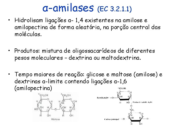 α-amilases (EC 3. 2. 1. 1) • Hidrolisam ligações α- 1, 4 existentes na