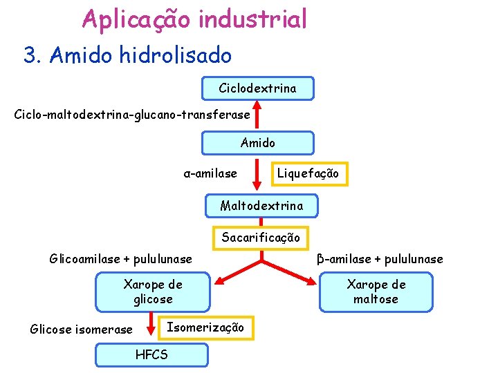 Aplicação industrial 3. Amido hidrolisado Ciclodextrina Ciclo-maltodextrina-glucano-transferase Amido α-amilase Liquefação Maltodextrina Sacarificação Glicoamilase +