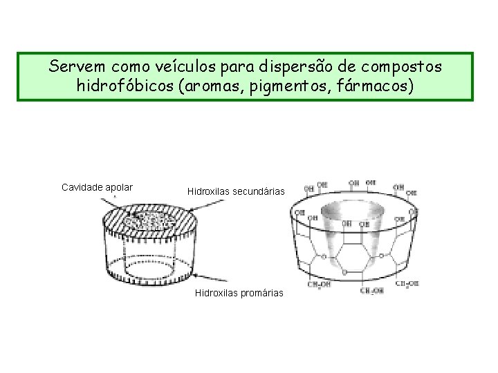 Servem como veículos para dispersão de compostos hidrofóbicos (aromas, pigmentos, fármacos) Cavidade apolar Hidroxilas