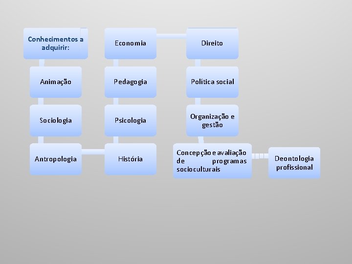 Conhecimentos a adquirir: Economia Direito Animação Pedagogia Política social Sociologia Psicologia Organização e gestão Conhecimentos a adquirir: Economia Direito Animação Pedagogia Política social Sociologia Psicologia Organização e gestão