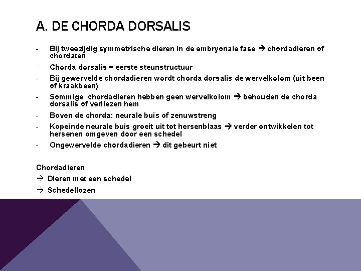 A. DE CHORDA DORSALIS - Bij tweezijdig symmetrische dieren in de embryonale fase chordadieren A. DE CHORDA DORSALIS - Bij tweezijdig symmetrische dieren in de embryonale fase chordadieren