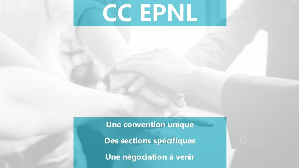 CC EPNL Une convention unique Des sections spécifiques Une négociation à venir 