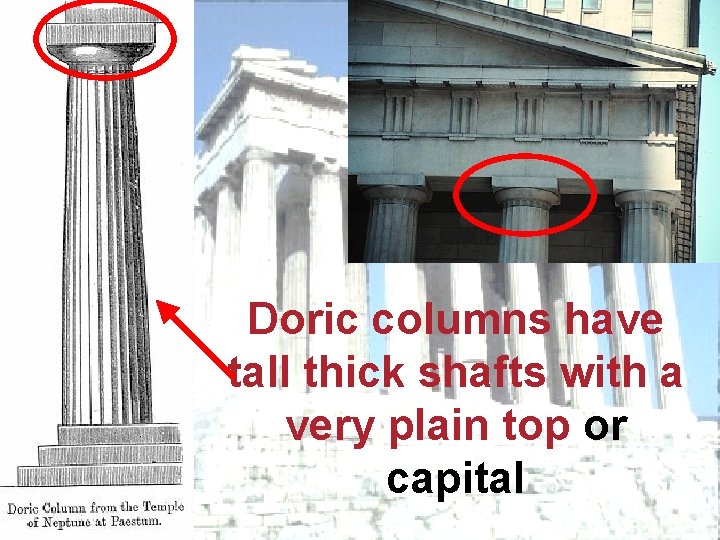 Doric columns have tall thick shafts with a very plain top or capital 