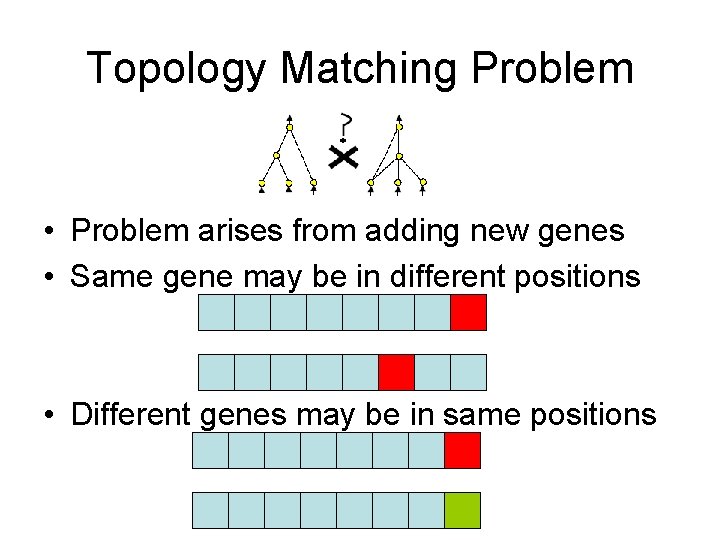 Topology Matching Problem • Problem arises from adding new genes • Same gene may