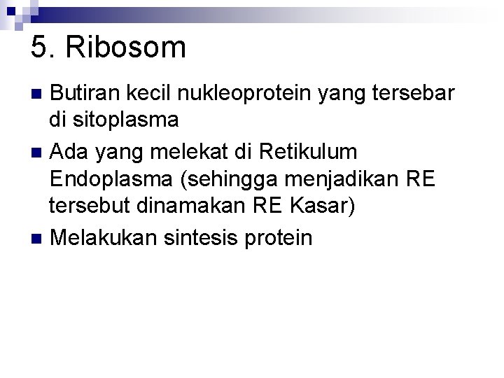 5. Ribosom Butiran kecil nukleoprotein yang tersebar di sitoplasma n Ada yang melekat di
