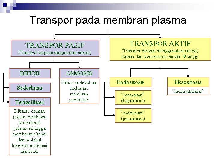 Transpor pada membran plasma TRANSPOR PASIF (Transpor tanpa menggunakan energi) DIFUSI Sederhana Terfasilitasi Dibantu
