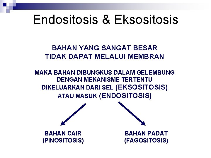 Endositosis & Eksositosis BAHAN YANG SANGAT BESAR TIDAK DAPAT MELALUI MEMBRAN MAKA BAHAN DIBUNGKUS