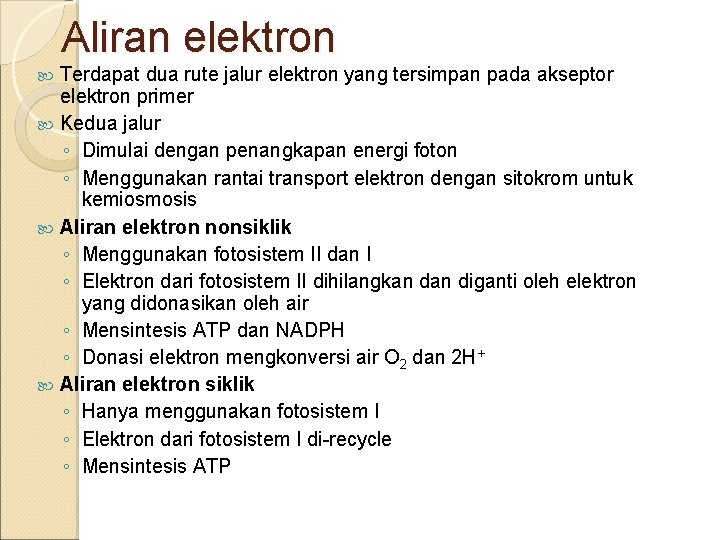 Aliran elektron Terdapat dua rute jalur elektron yang tersimpan pada akseptor elektron primer Kedua