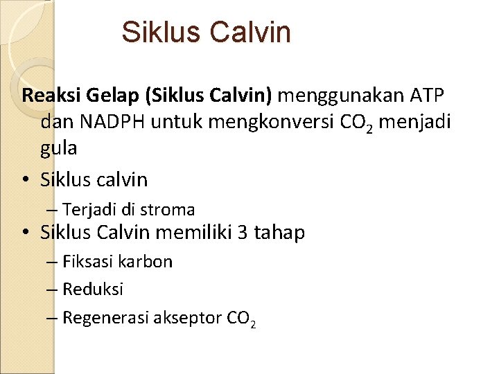 Siklus Calvin Reaksi Gelap (Siklus Calvin) menggunakan ATP dan NADPH untuk mengkonversi CO 2