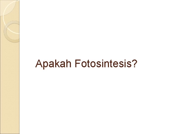 Apakah Fotosintesis? 