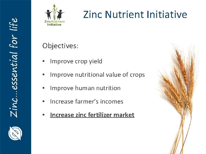 Zinc…essential for life Zinc Nutrient Initiative Objectives: • Improve crop yield • Improve nutritional