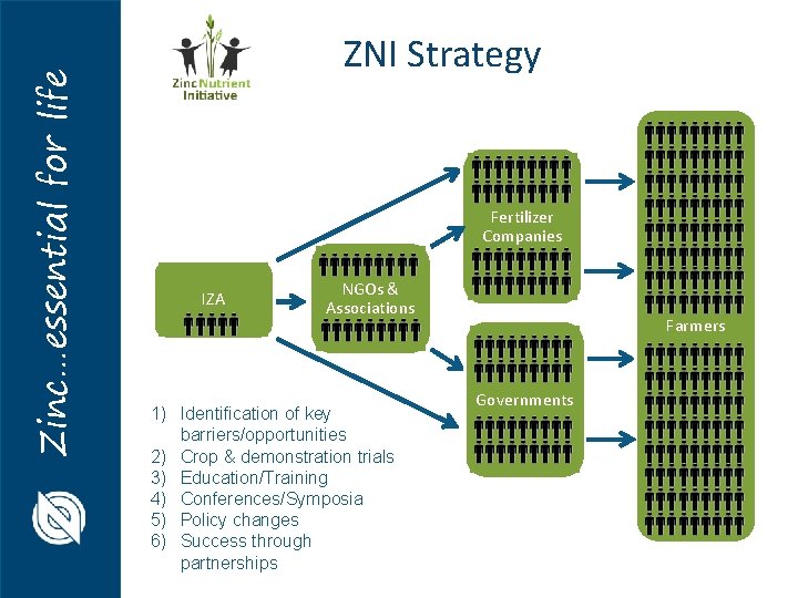 Zinc…essential for life ZNI Strategy Fertilizer Companies IZA NGOs & Associations Farmers 1) Identification