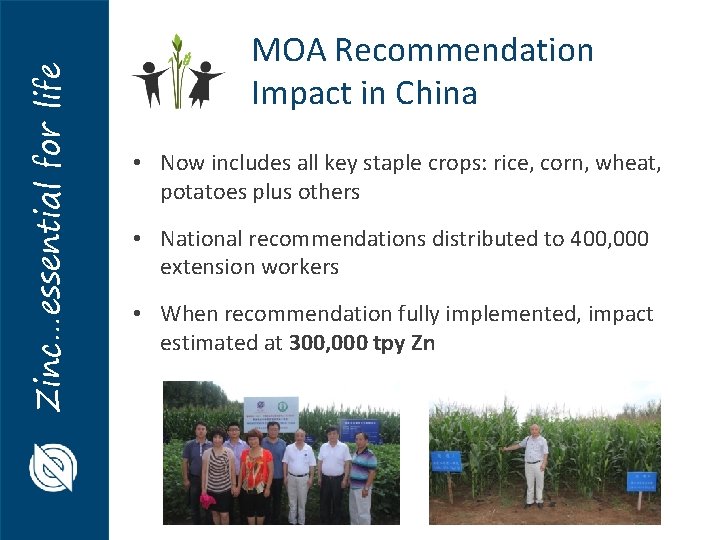 Zinc…essential for life MOA Recommendation Impact in China • Now includes all key staple Zinc…essential for life MOA Recommendation Impact in China • Now includes all key staple