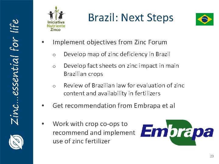 Zinc…essential for life Brazil: Next Steps • Implement objectives from Zinc Forum o Develop